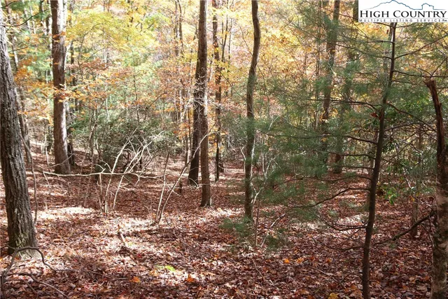 $25,000 | Lot 7 Charlie Warwick Road, Fleetwood, NC 28626
