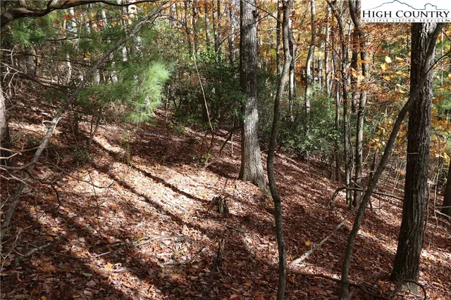 $25,000 | Lot 7 Charlie Warwick Road, Fleetwood, NC 28626