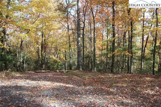 $25,000 | Lot 7 Charlie Warwick Road, Fleetwood, NC 28626