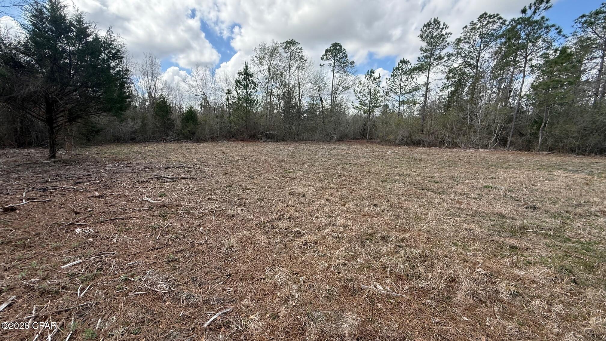 0 Neel Road Grand Ridge, FL 32442 - Photo 2 of 5