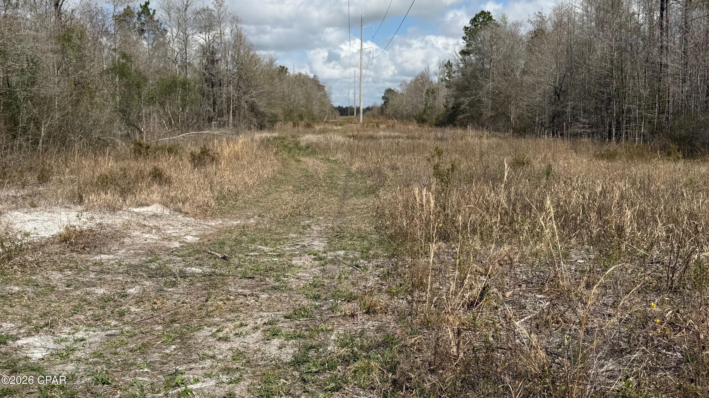 0 Neel Road Grand Ridge, FL 32442 - Photo 4 of 5