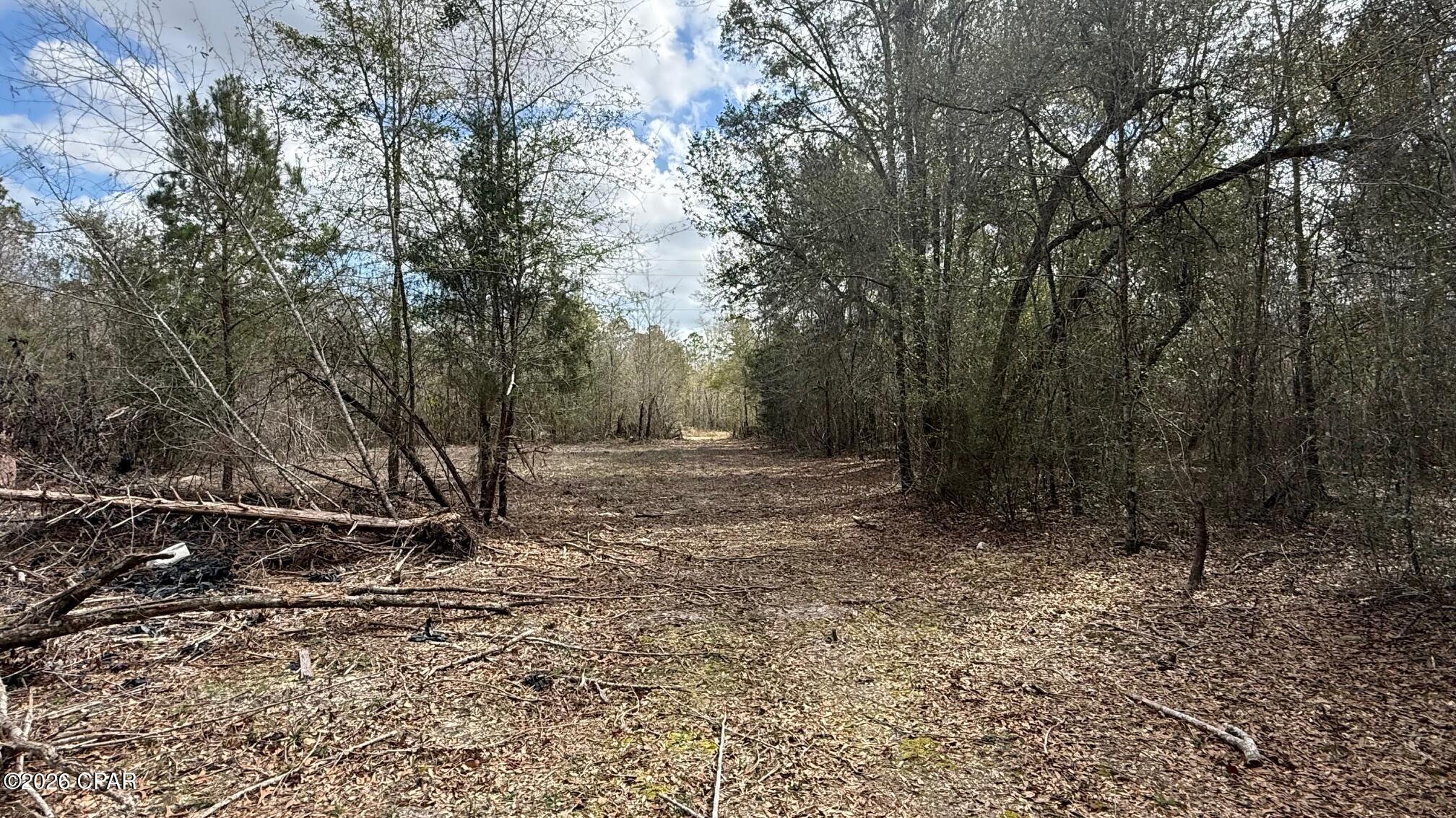0 Neel Road Grand Ridge, FL 32442 - Photo 5 of 5