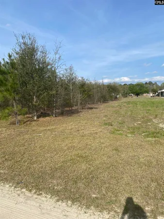 $15,000 | 0 Sea Ray Ln. Lane, Marion, SC 29571