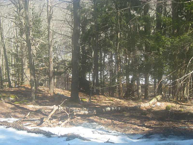 279 Clay Hill Road Cape Neddick, ME 03902 - Photo 3 of 3 Exterior Front.
