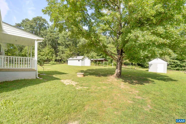 a view of a yard with plants and trees