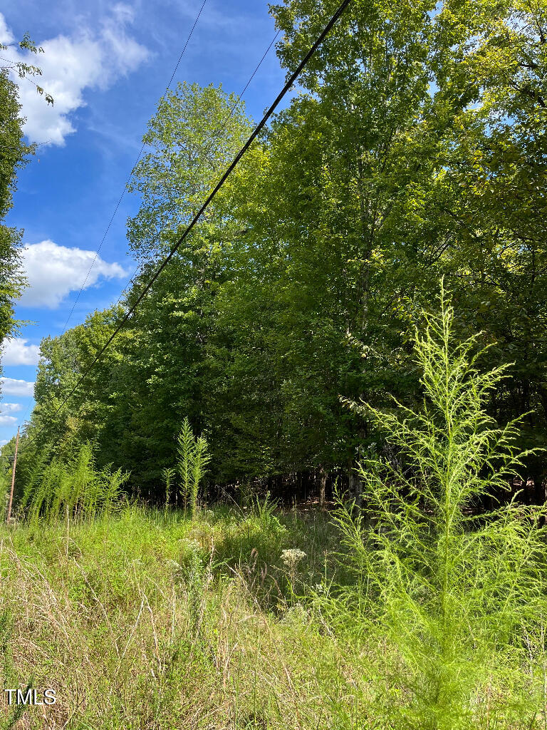 2 Semora Road Leasburg, NC 27291 - Photo 2 of 16 01