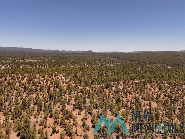 Tbd Tbd Little Arrow Road Grants, NM 87020 - Photo 37 of 69