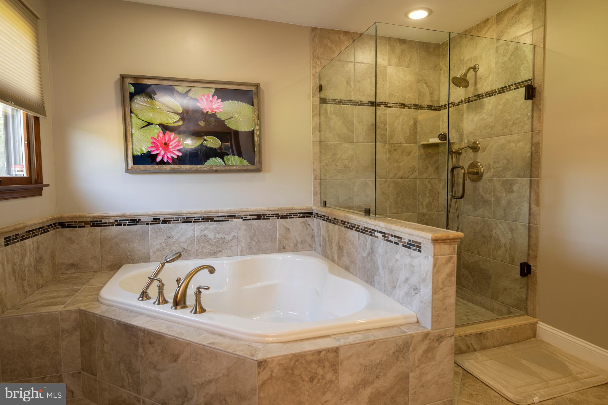 4043 Blue Ball Road Elkton, MD 21921 - Photo 31 of 54 a bath tub sitting next to a bathroom