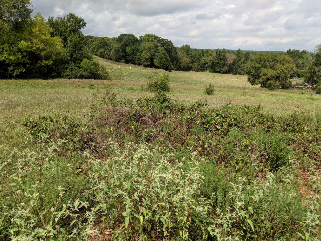 1079 Anderson County Road Palestine, TX 75803 - Photo 1 of 1
