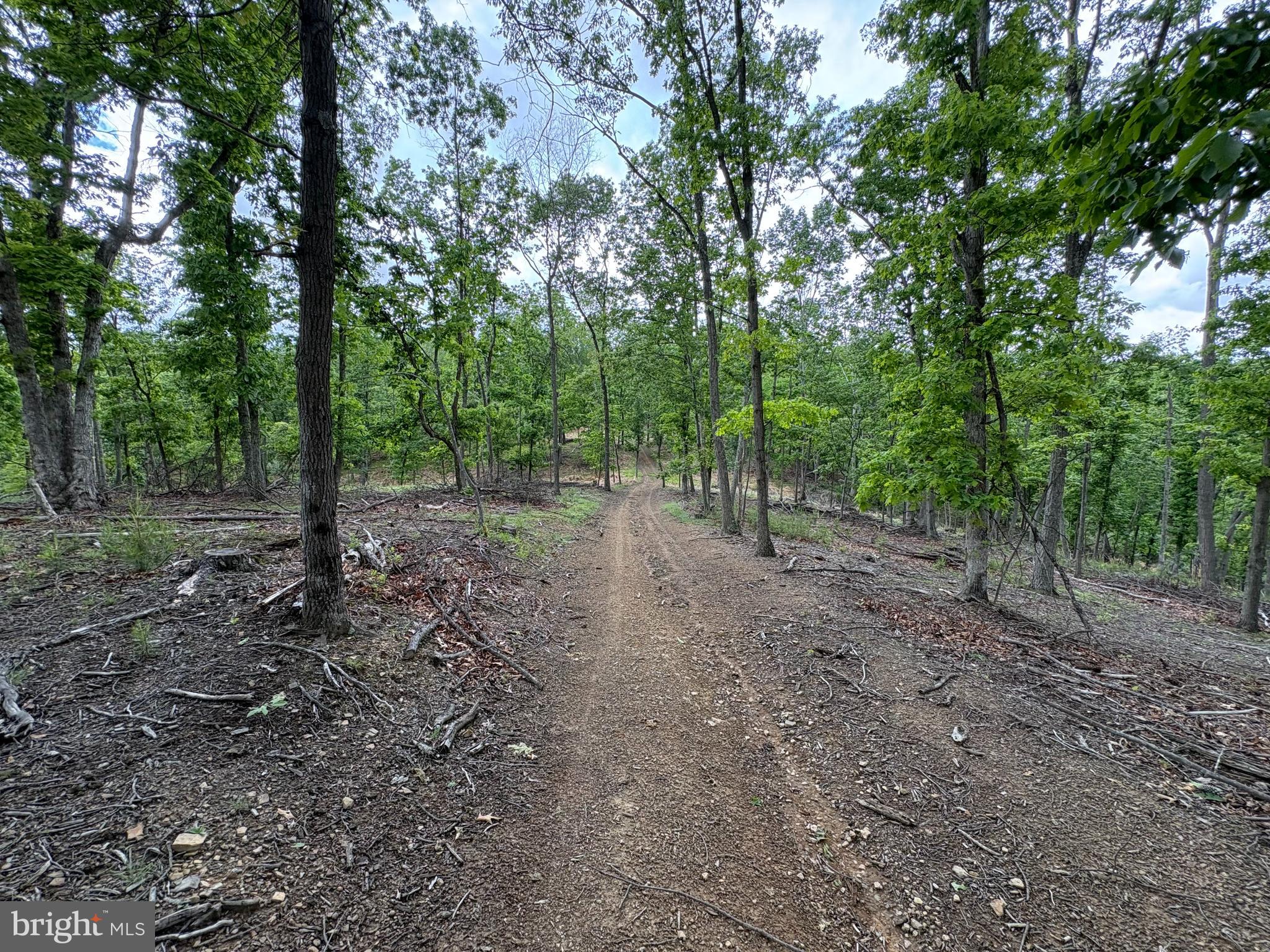 40.15-ac Middle Ridge Road Burlington, WV 26710 - Photo 17 of 47