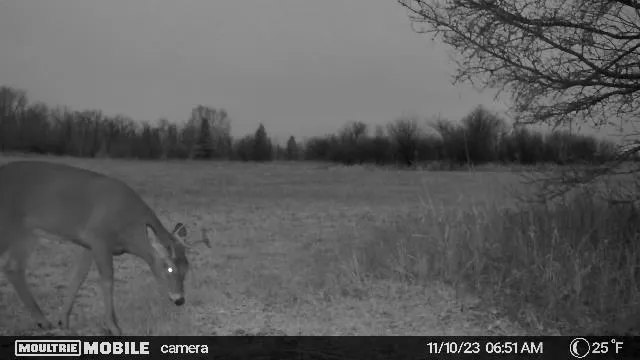 $179,999 | 4 County Road 4, Talmoon, MN 56637