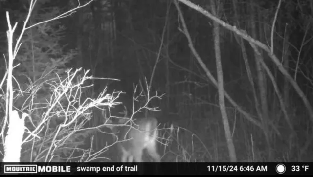 $179,999 | 4 County Road 4, Talmoon, MN 56637