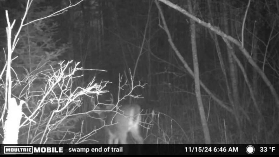 4 County Road 4 Talmoon, MN 56637 - Photo 16 of 17