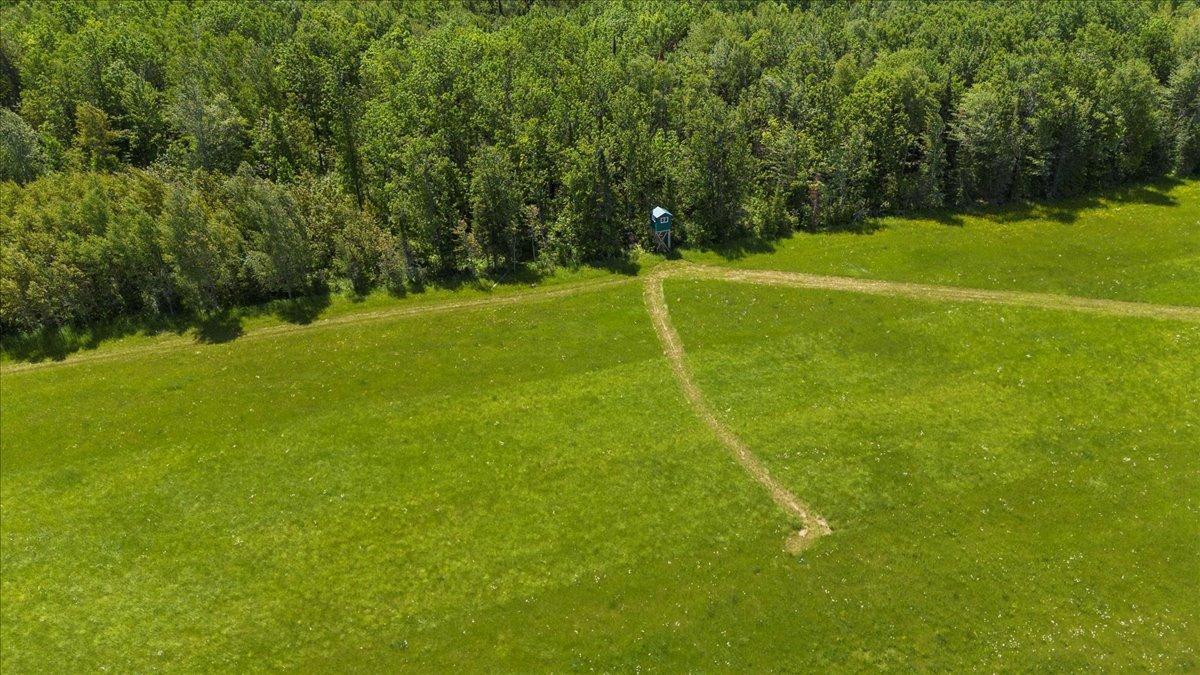 4 County Road 4 Talmoon, MN 56637 - Photo 7 of 17