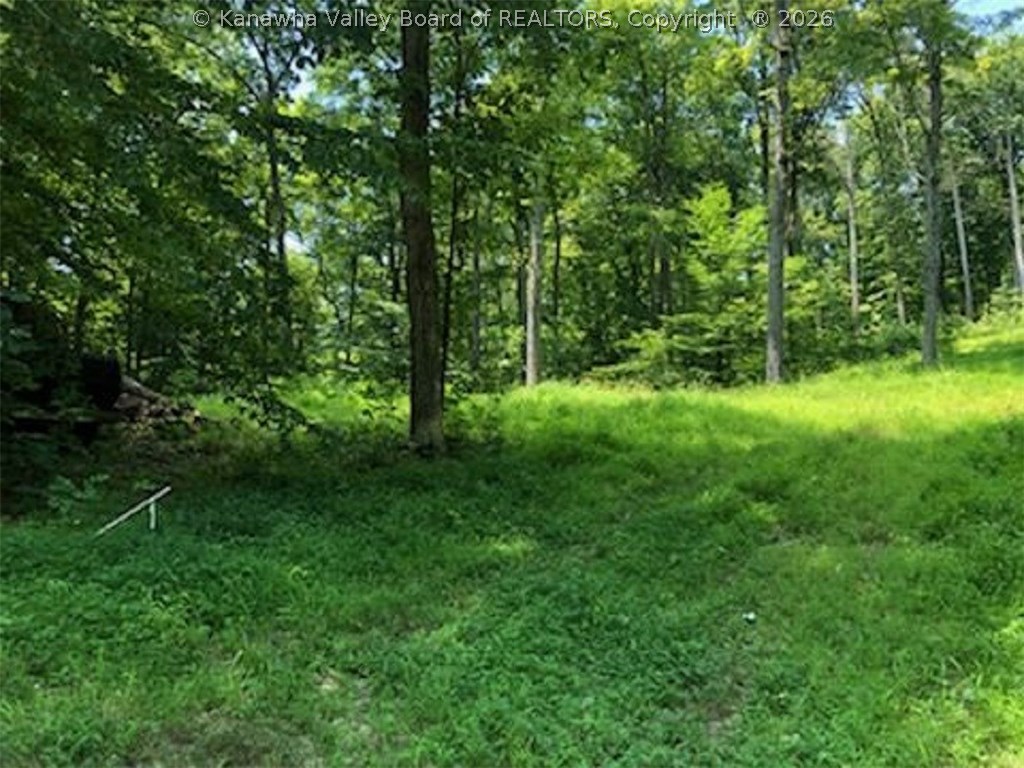 0 Jericho Road Point Pleasant, WV 25550 - Photo 1 of 3 Gallery Image 1