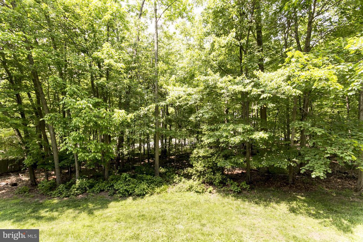 3416 Englemeade Road Pikesville, MD 21208 - Photo 30 of 30 View From Deck