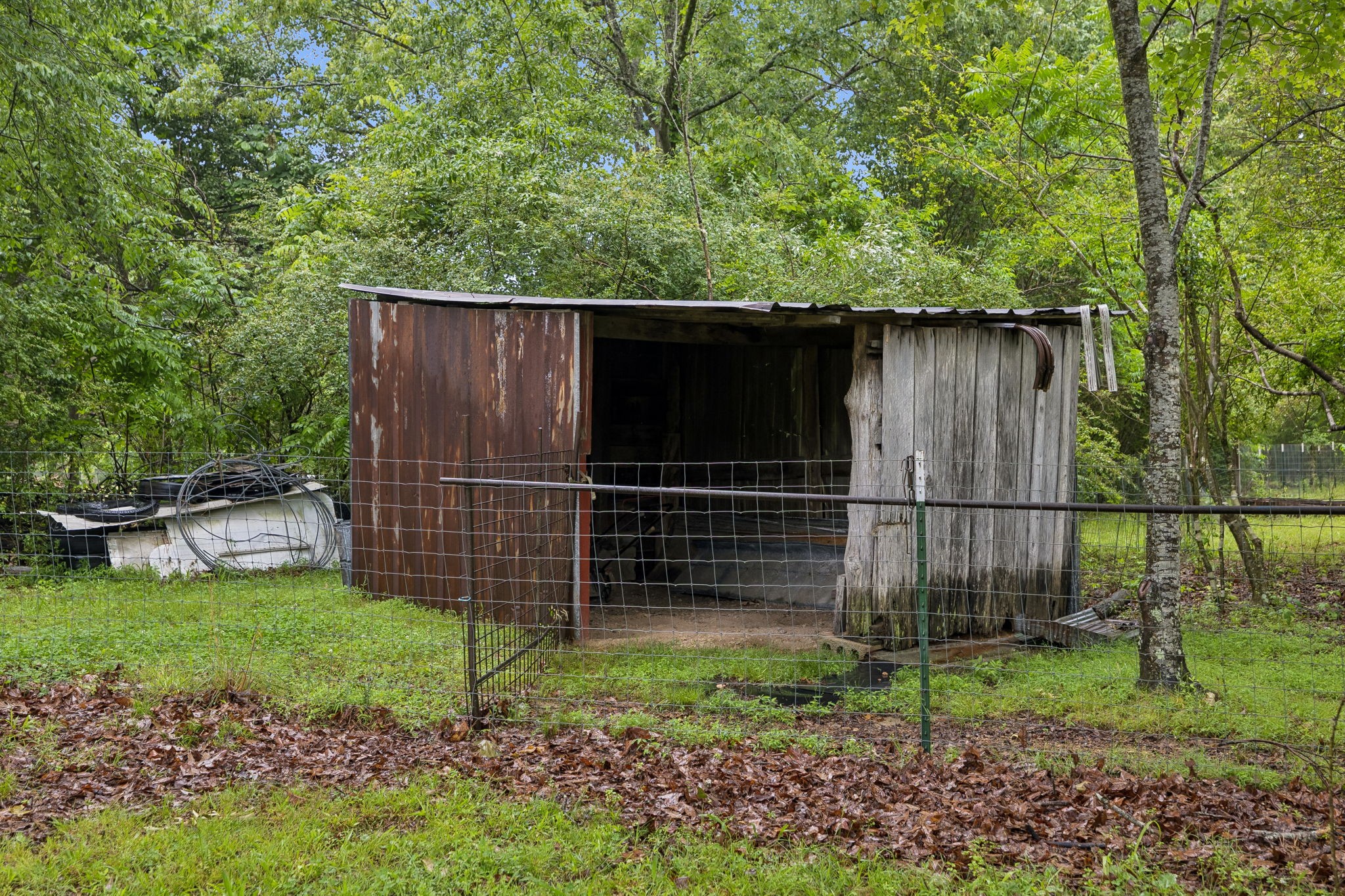 121 Hannah Road Summertown, TN 38483 - Photo 47 of 52 a backyard of a house with lots of green space