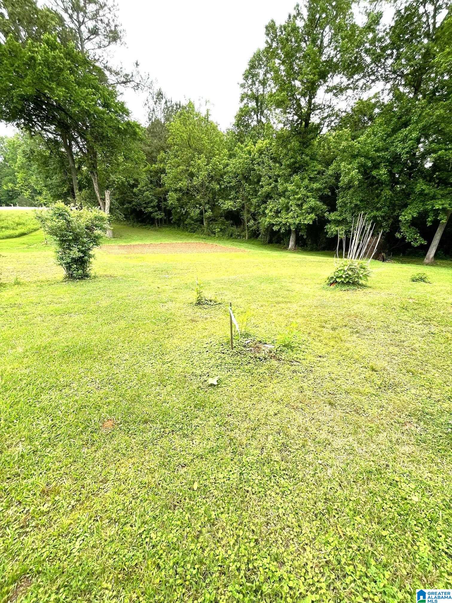 5827 Highway 431 Heflin, AL 36264 - Photo 7 of 21