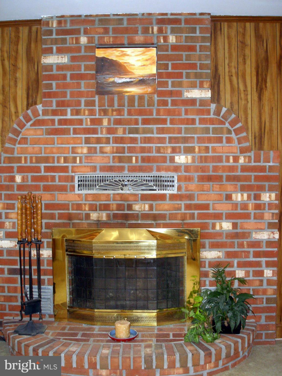3426 Chapman Road Randallstown, MD 21133 - Photo 6 of 29 Cozy Fireplace
