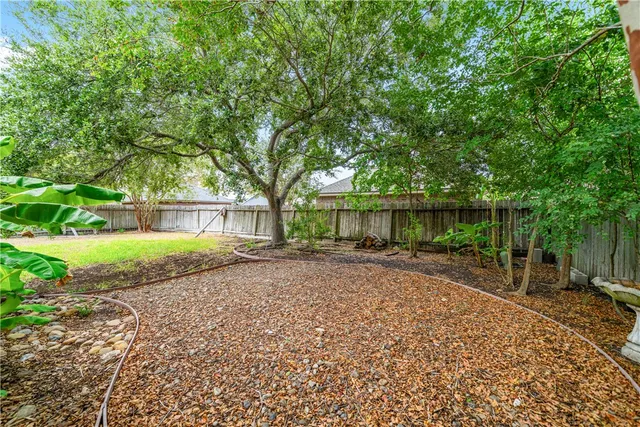 a view of a backyard with a tree