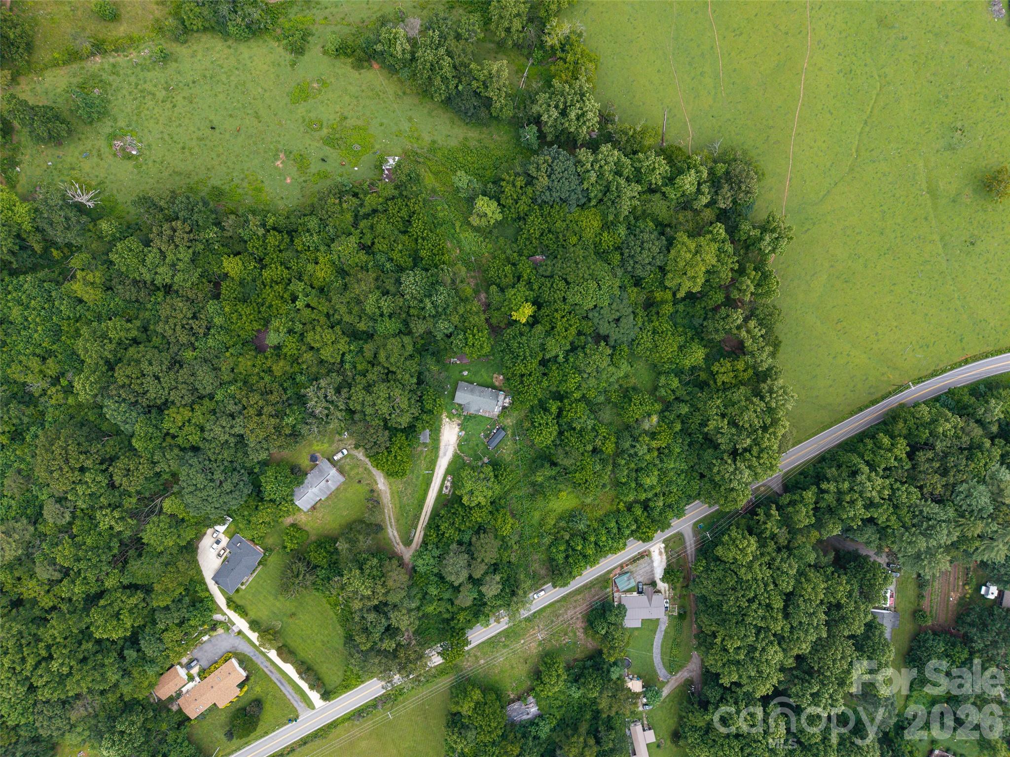 562 Concord Road Fletcher, NC 28732 - Photo 2 of 7 a view of a yard with plants and large trees