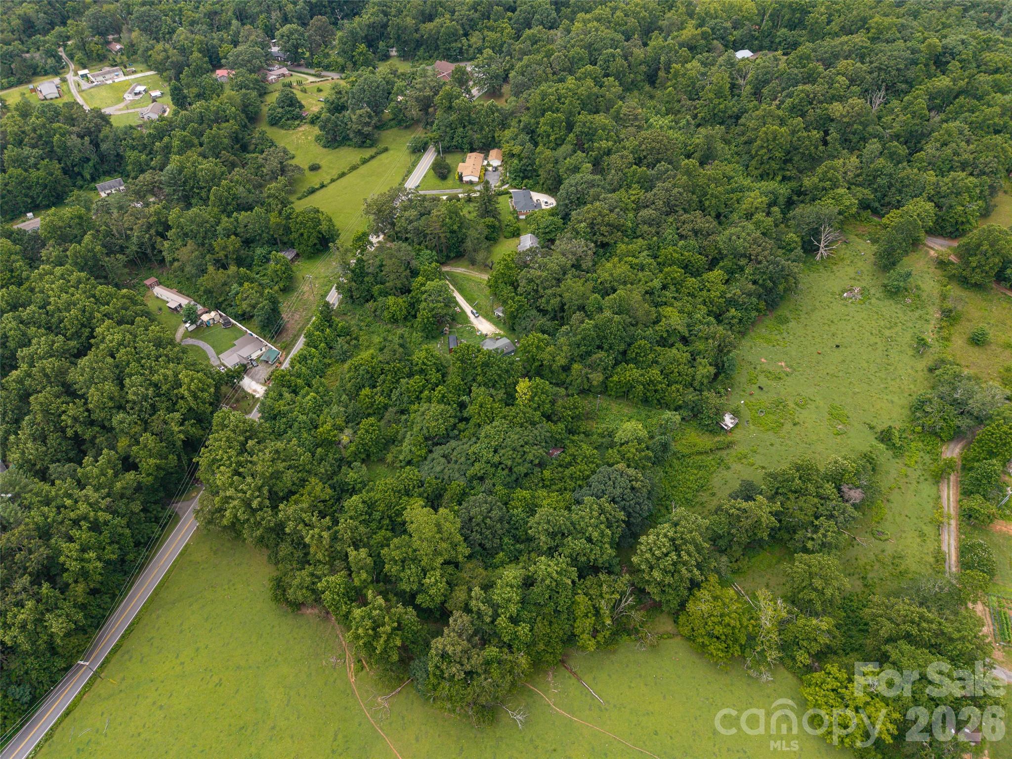 562 Concord Road Fletcher, NC 28732 - Photo 6 of 7 a view of a forest