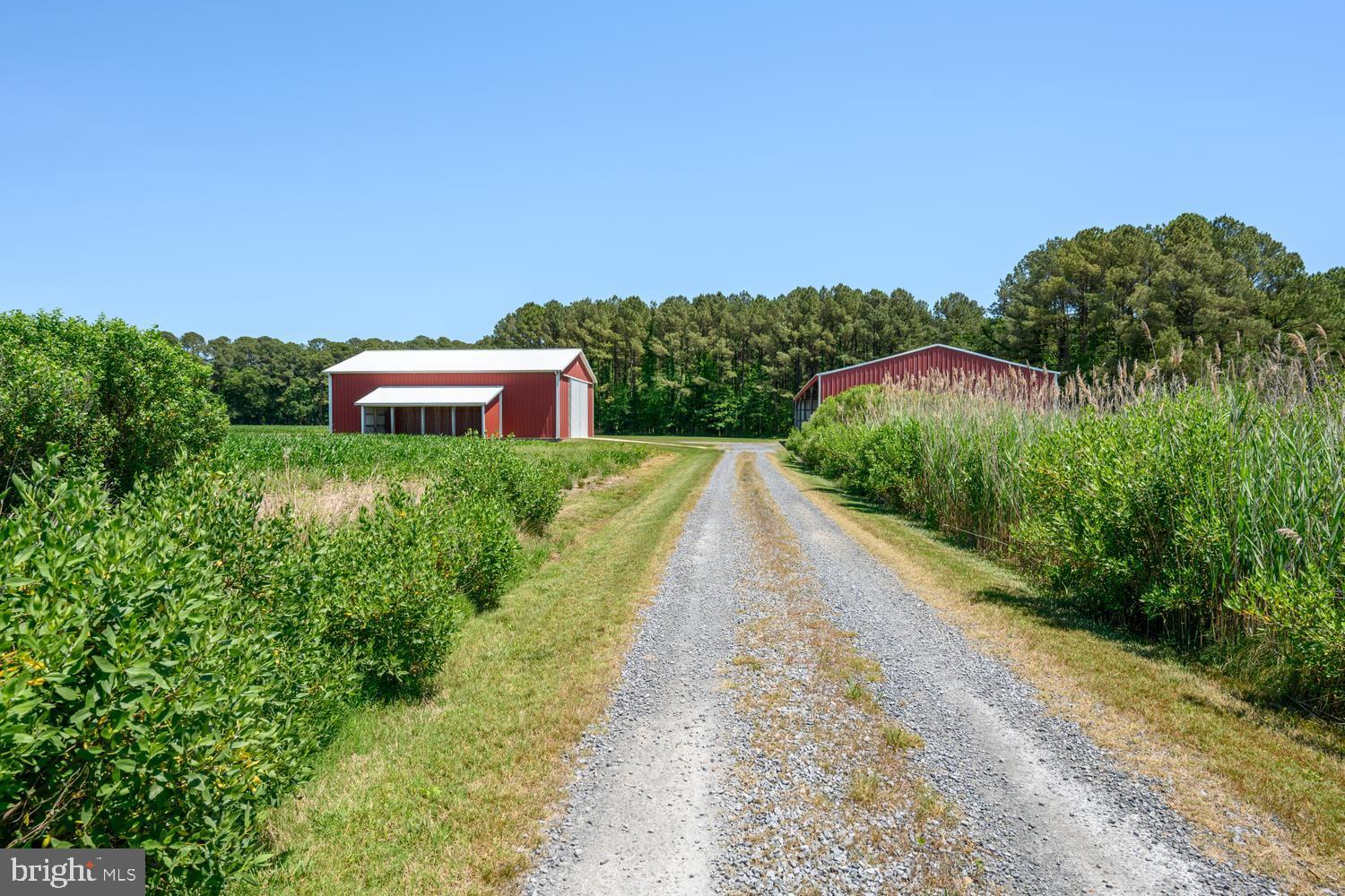 7543 Bozman Neavitt Road Bozman, MD 21612 - Photo 114 of 121