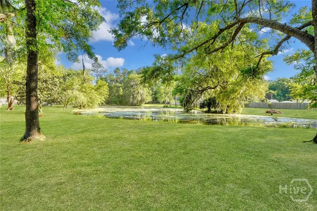 $3,000 | 41 Jerico Trail, Richmond Hill, GA 31324