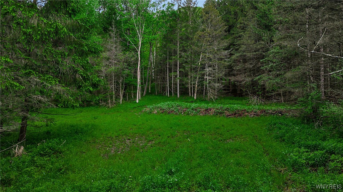 Vl Maples Road Little Valley, NY 14755 - Photo 7 of 12