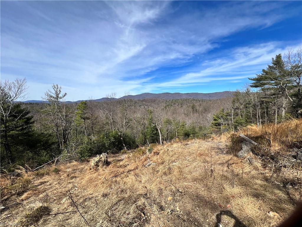 Lot 177 Casey Mountain Road Purlear, NC 28665 - Photo 4 of 19