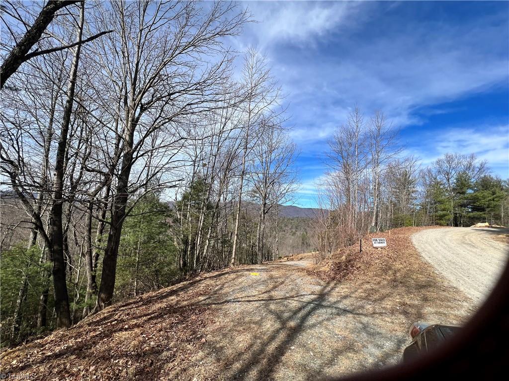 Lot 177 Casey Mountain Road Purlear, NC 28665 - Photo 5 of 19