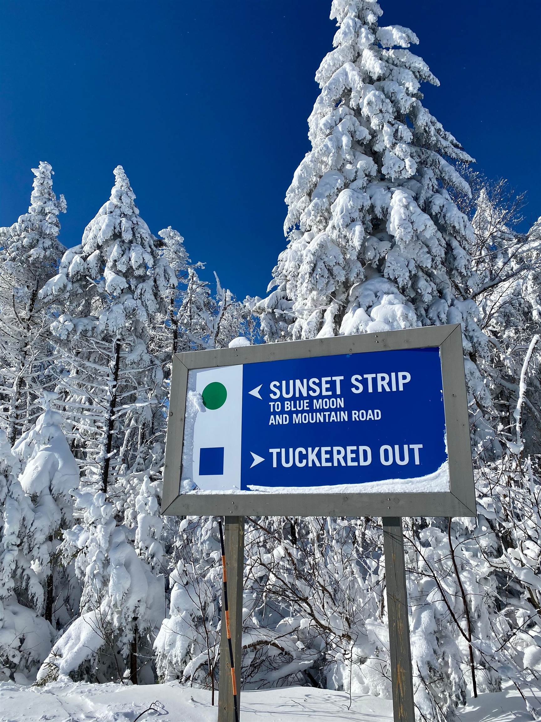 224-qiv Jackson Gore Road, Unit 224 QIV Ludlow, VT 05149 - Photo 36 of 36