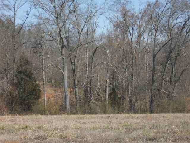 Joyce Road, Unit S Liberty, SC 29657 - Photo 4 of 6