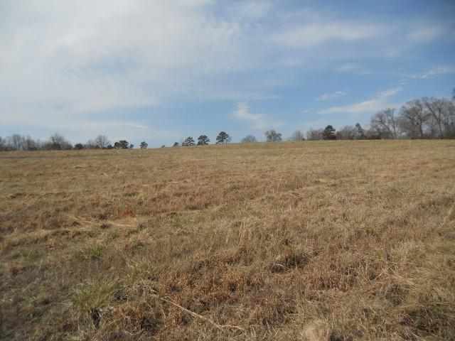 Joyce Road, Unit S Liberty, SC 29657 - Photo 5 of 6