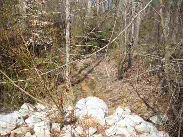 Joyce Road, Unit S Liberty, SC 29657 - Photo 6 of 6