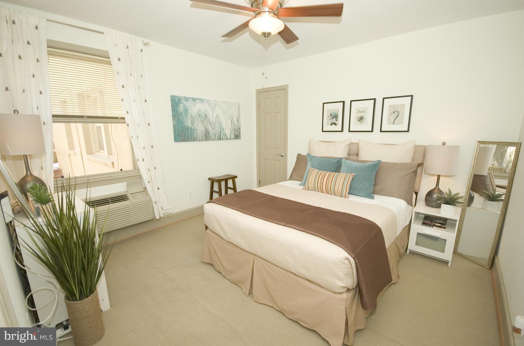 1363 K Street Southeast, Unit 103 Washington, DC 20003 - Photo 13 of 20 Ceiling fan and great window light