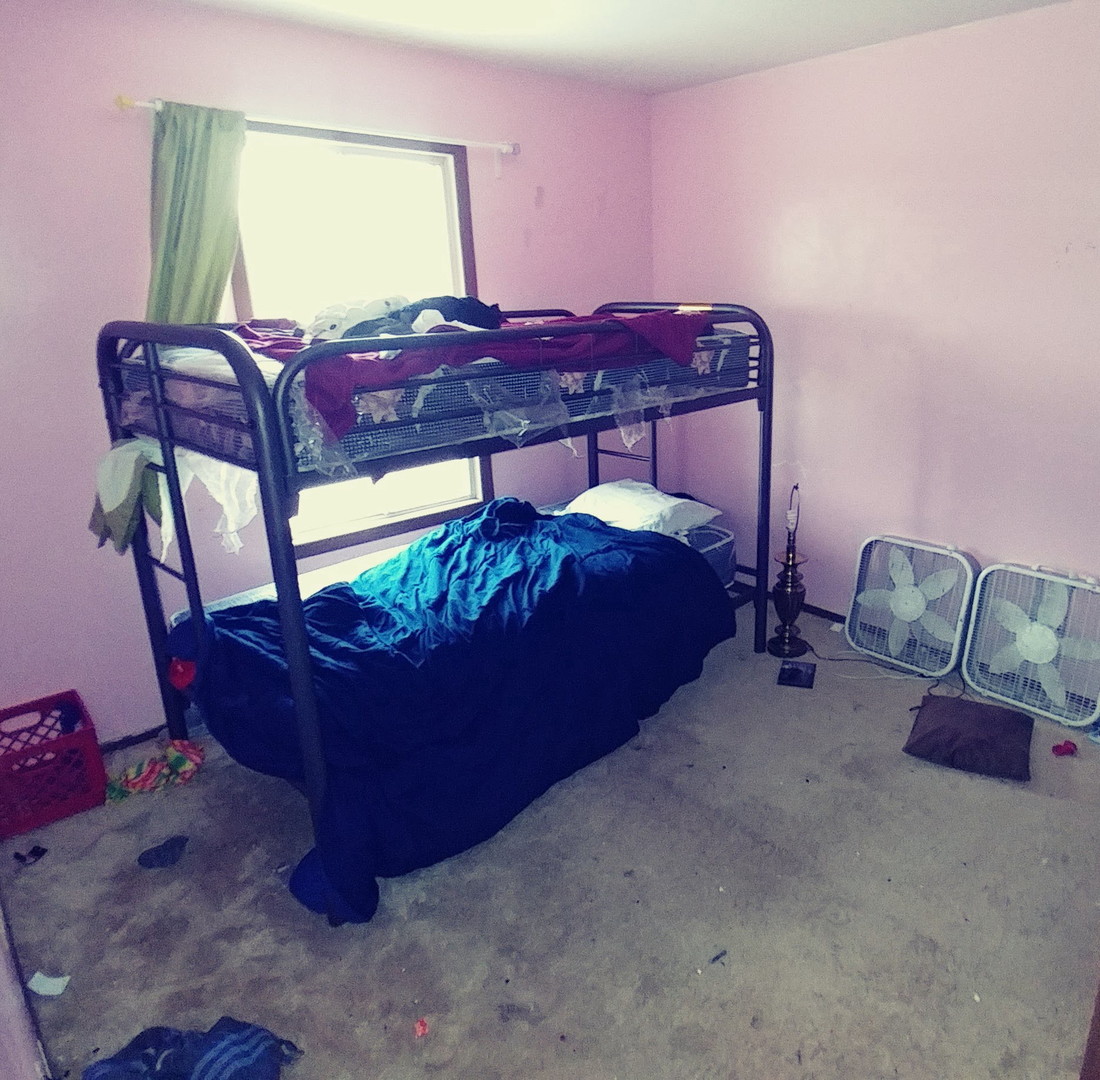 43 Red Barn Road Matteson, IL 60443 - Photo 7 of 10
