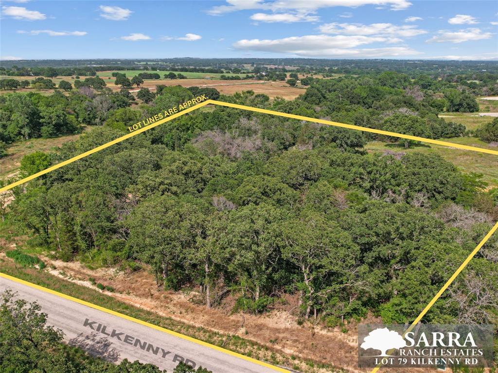 Lot 79 Kilkenney Road Poolville, TX 76487 - Photo 2 of 11