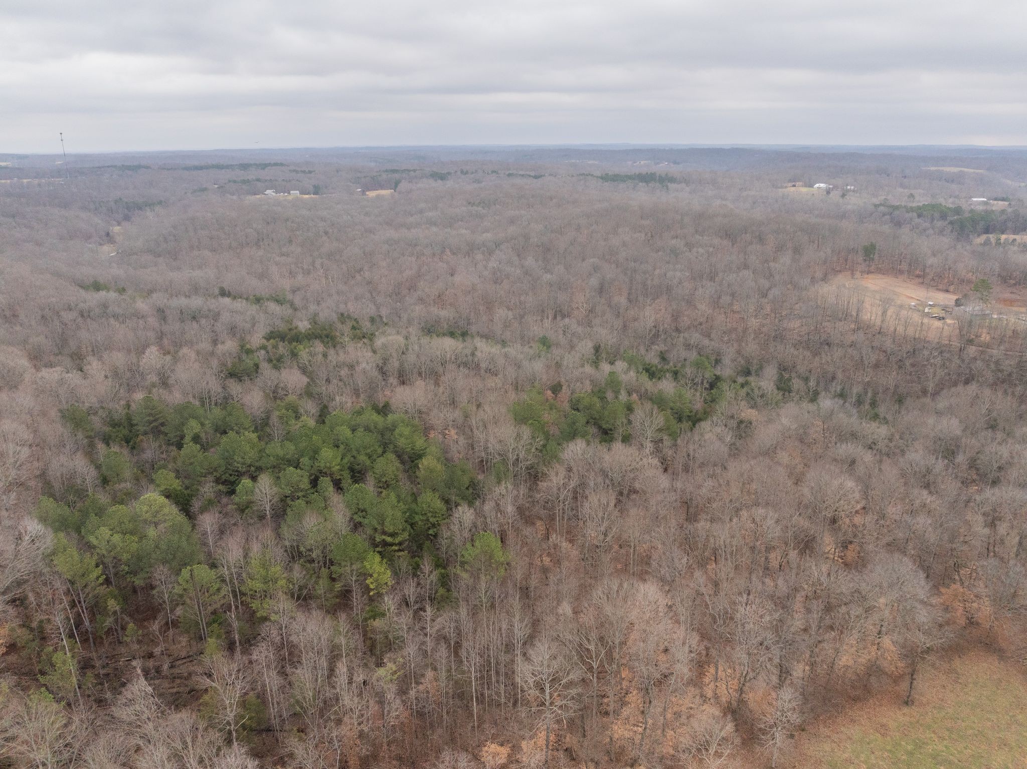 0 Wiley Branch Road Dickson, TN 37055 - Photo 15 of 27