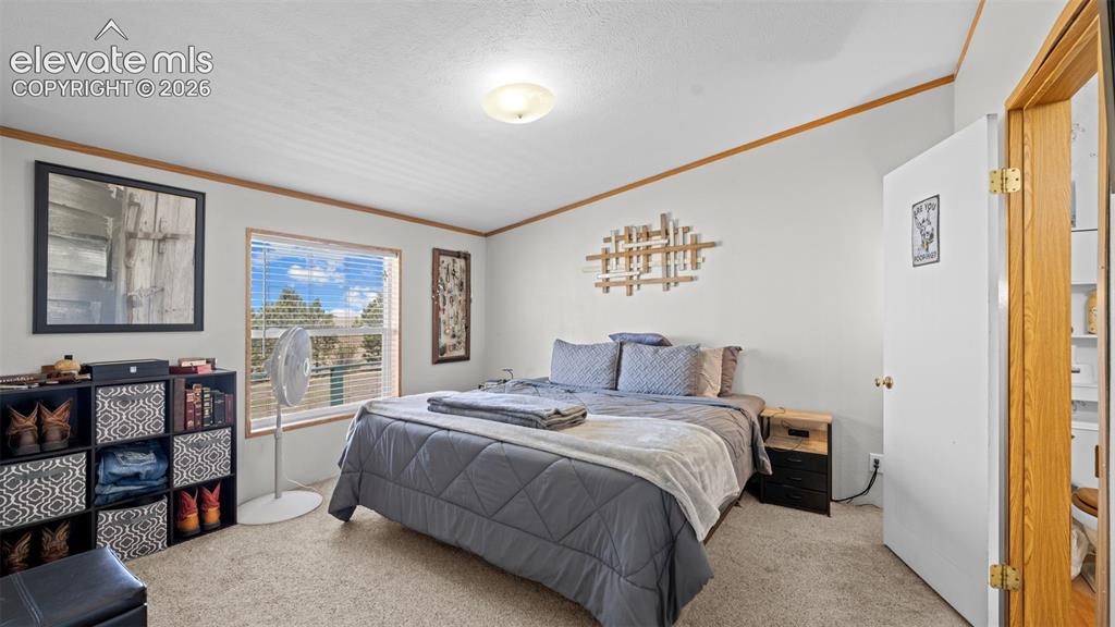 33975 Highway 94 Yoder, CO 80864 - Photo 16 of 40 Carpeted interior space featuring a single window with horizontal blinds, a ceiling-mounted light fixture, and crown molding