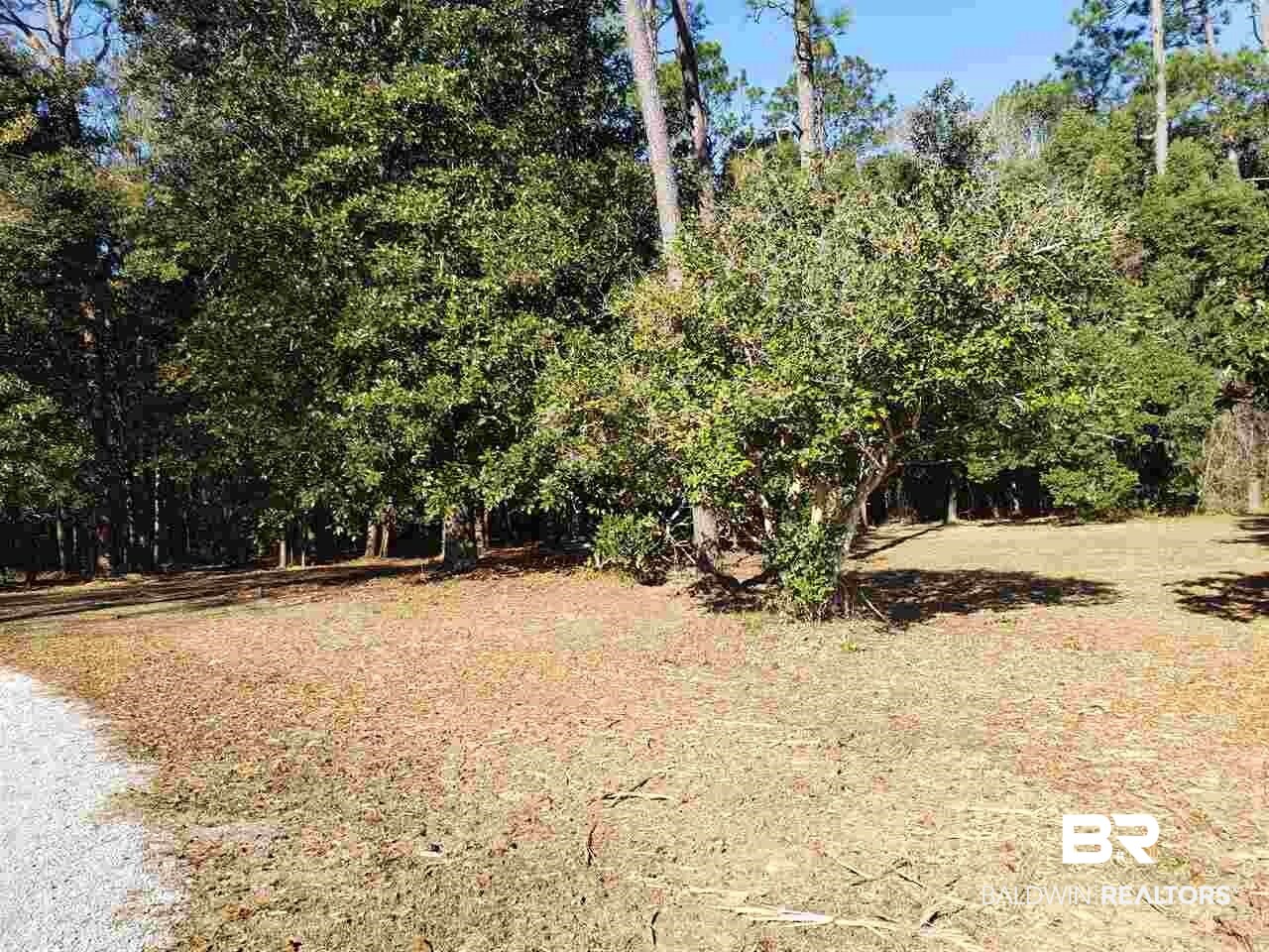 21655 Highway 98 Foley, AL 36535 - Photo 6 of 22