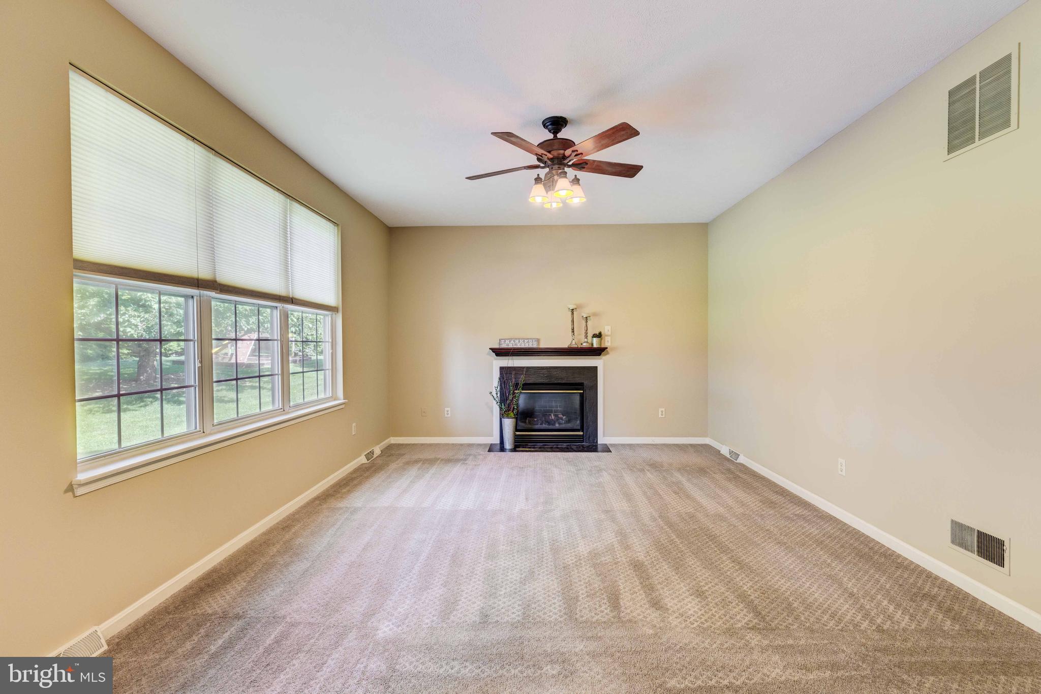 1193 Larkspur Road Westminster, MD 21157 - Photo 20 of 42 Gas Fireplace