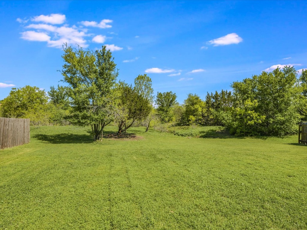 17816 Cutback Drive Manor, TX 78653 - Photo 25 of 28 a view of a yard with a house