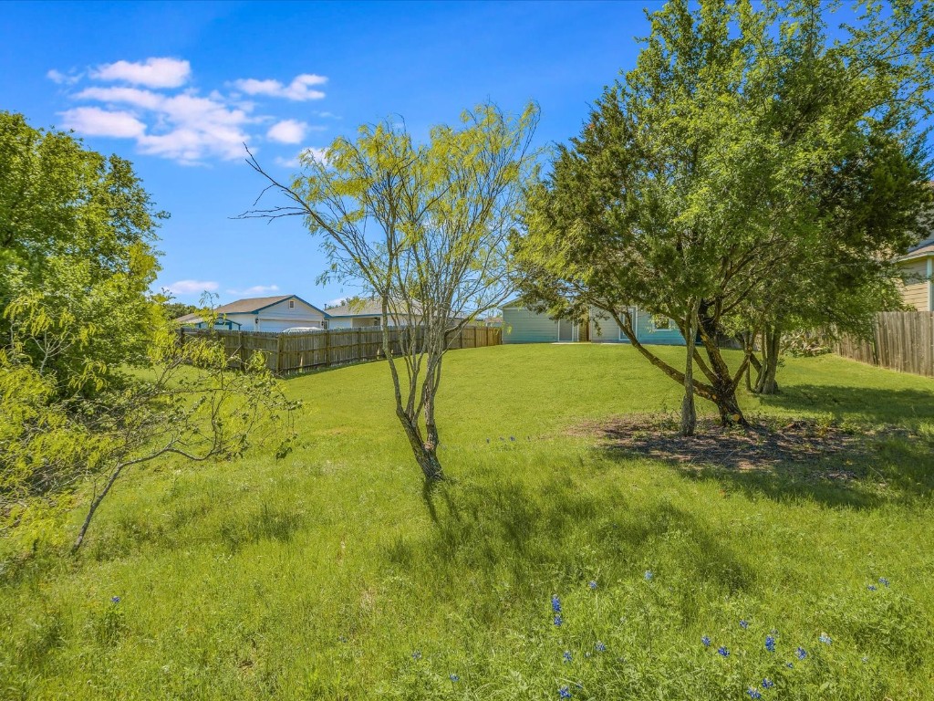17816 Cutback Drive Manor, TX 78653 - Photo 26 of 28 a view of yard with tree and a yard