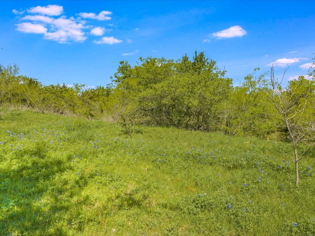 17816 Cutback Drive Manor, TX 78653 - Photo 27 of 28 a view of a big yard with large trees