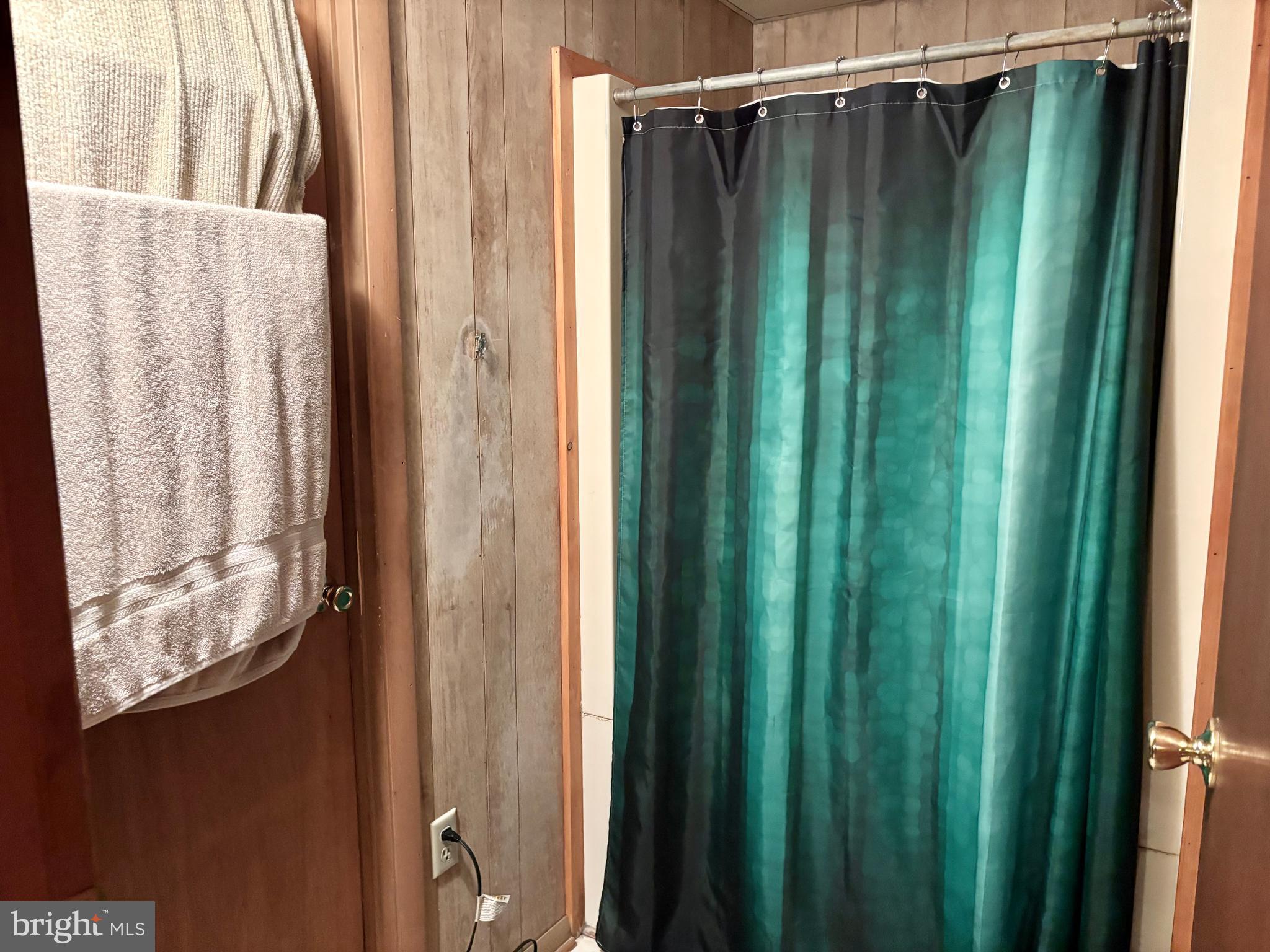 133 Black Street Howard, PA 16841 - Photo 12 of 26 a view of a bathroom with shower and window