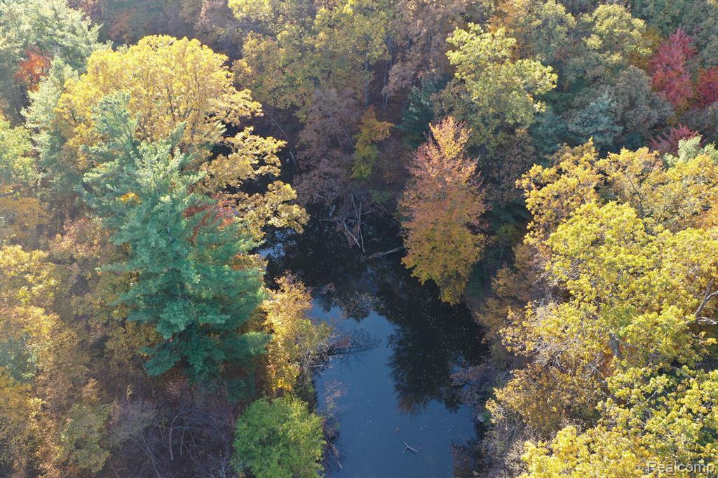 3301 Flint River Road Columbiaville, MI 48421 - Photo 48 of 56
