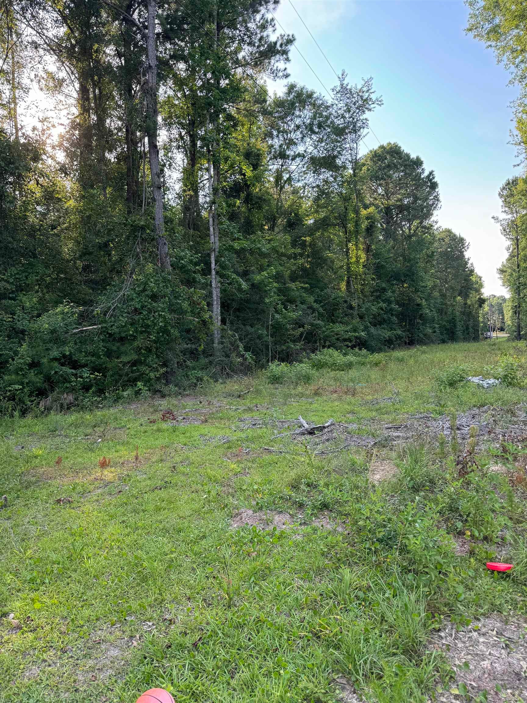 2630 Lester Bell Road Brantley, AL 36009 - Photo 4 of 4 Gallery Image 4