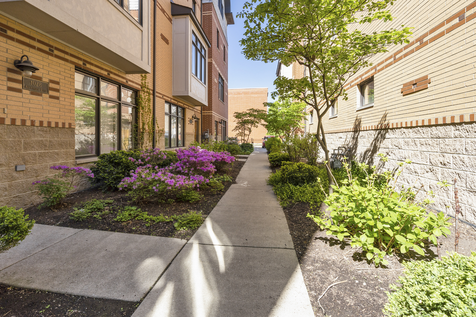 1029 Baldwin Lane Oak Park, IL 60302 - Photo 2 of 38