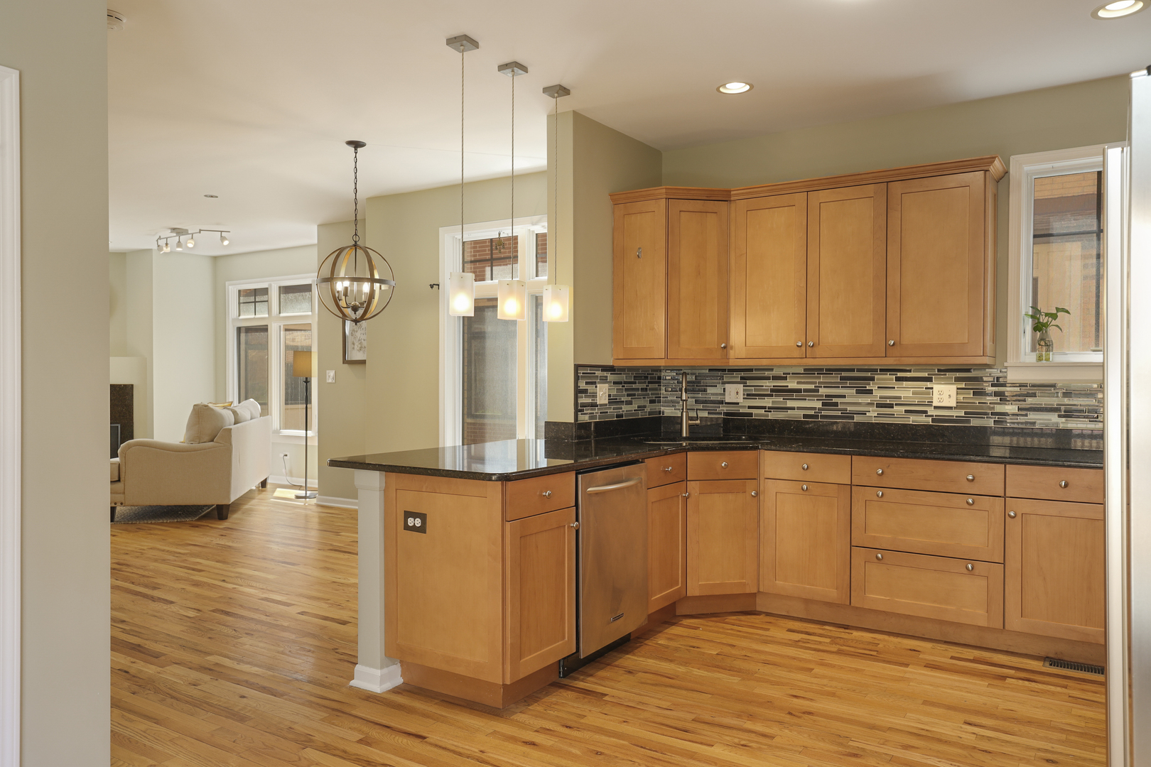 1029 Baldwin Lane Oak Park, IL 60302 - Photo 16 of 38